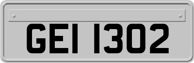 GEI1302
