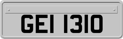 GEI1310