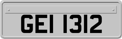 GEI1312
