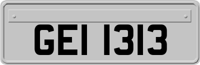 GEI1313