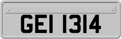 GEI1314
