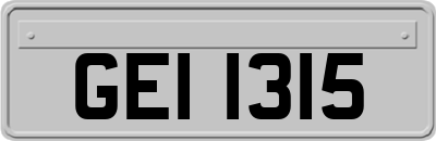 GEI1315