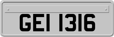 GEI1316