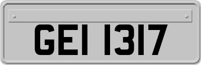 GEI1317