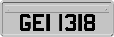 GEI1318