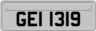 GEI1319
