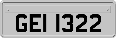 GEI1322