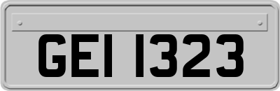 GEI1323