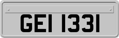 GEI1331
