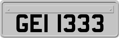 GEI1333