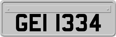 GEI1334