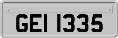 GEI1335