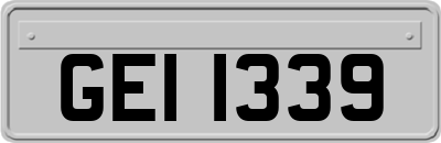 GEI1339