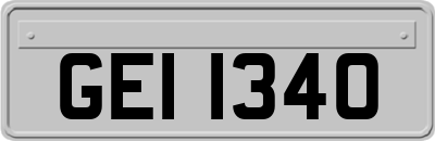 GEI1340