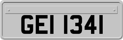 GEI1341