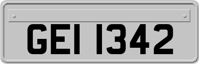 GEI1342