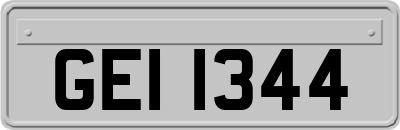 GEI1344