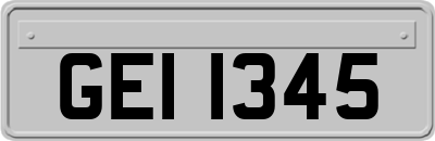 GEI1345