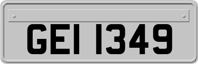 GEI1349