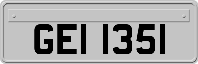 GEI1351