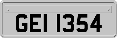 GEI1354