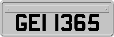 GEI1365