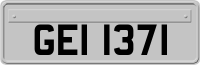GEI1371