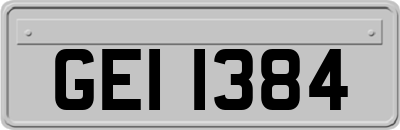 GEI1384
