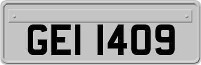 GEI1409