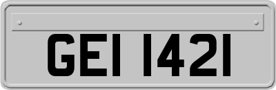 GEI1421