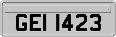 GEI1423