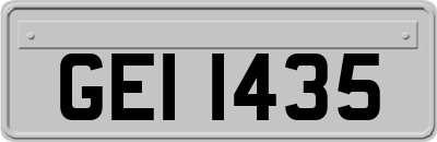 GEI1435