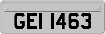 GEI1463
