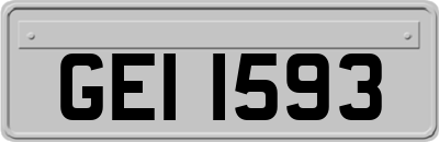 GEI1593