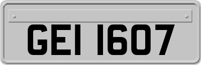 GEI1607