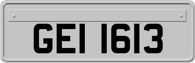 GEI1613