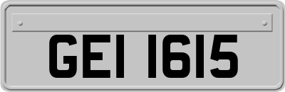GEI1615