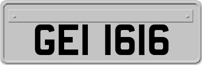GEI1616