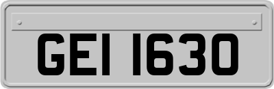 GEI1630