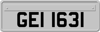 GEI1631