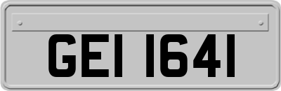 GEI1641