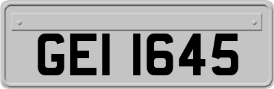GEI1645