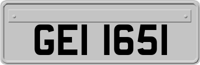 GEI1651