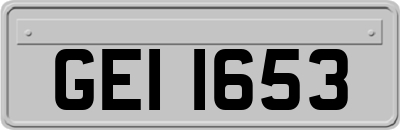 GEI1653