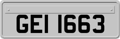 GEI1663