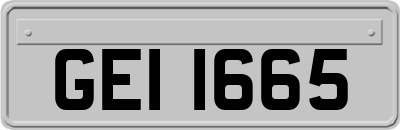 GEI1665