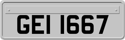 GEI1667