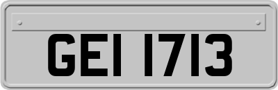 GEI1713
