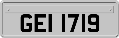 GEI1719