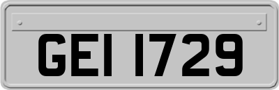 GEI1729
